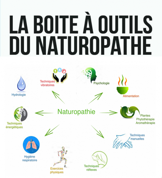 La boite a outils du naturopathe